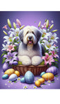 Old English Sheepdog - Best of Breed DCR Easter Holiday    Outdoor House and Garden Flag