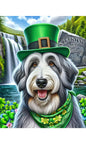 Old English Sheepdog - Best of Breed DCR Saint Patricks Day Day Outdoor House and Garden Flag