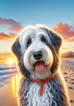 Old English Sheepdog - Best of Breed DCR Summer Sunset Outdoor House and Garden Flag