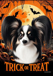 Papillion Tri - Best of Breed  Halloween Outdoor House and Garden Flag