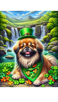 Pekingese - Best of Breed DCR Saint Patricks Day Day Outdoor House and Garden Flag