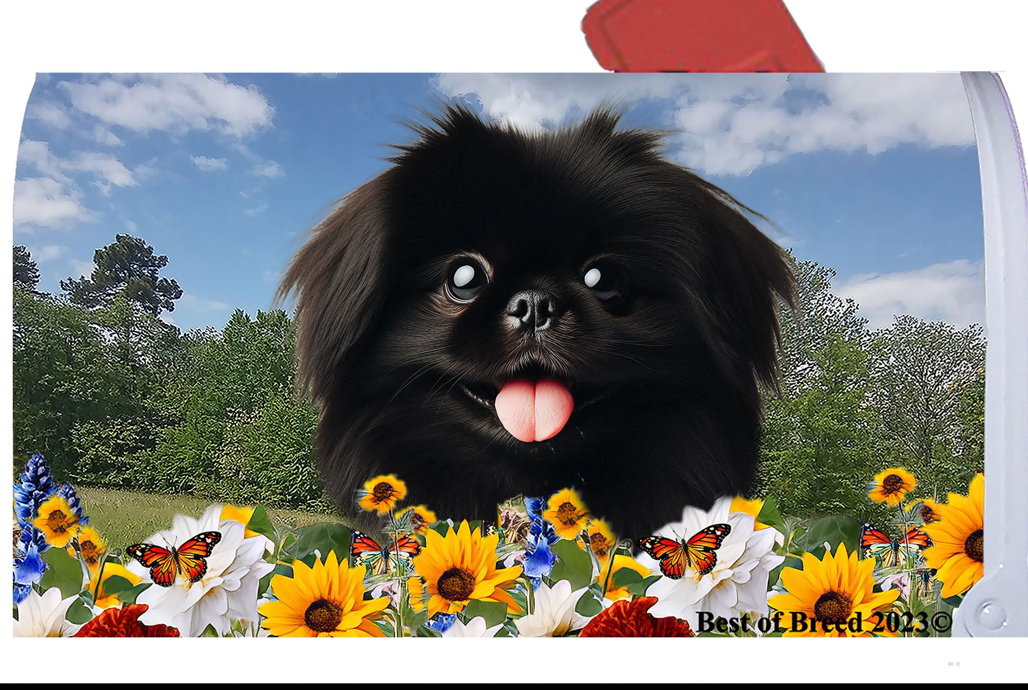 ペキニーズ書籍4冊セット 本 洋書 写真 pekingese PEKINGESE ペキニーズ書籍4冊セット 本 洋書 写真 pekingese PEKINGESE