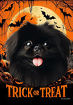 Pekingese Black - Best of Breed  Halloween Outdoor House and Garden Flag