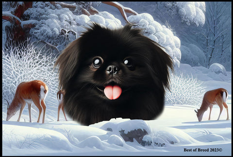 Pekingese Black - Best of Breed Winter Wonderland Floor Mat Tufted Loop 18" x 27"