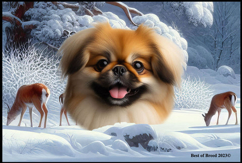 Pekingese Red - Best of Breed Winter Wonderland Floor Mat Tufted Loop 18" x 27"