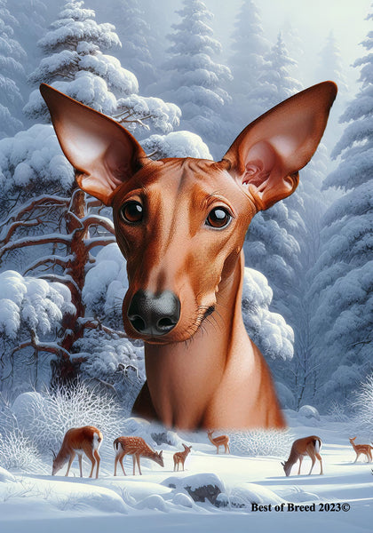 Pharoah Hound -  Best of Breed  Winter Wonderland Outdoor House and Garden Flag