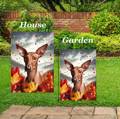 Pharoah Hound -  Best of Breed  Fall Leaves Outdoor House and Garden Flag