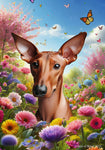 Pharoah Hound -  Best of Breed  Spring Butterflies Outdoor House and Garden Flag