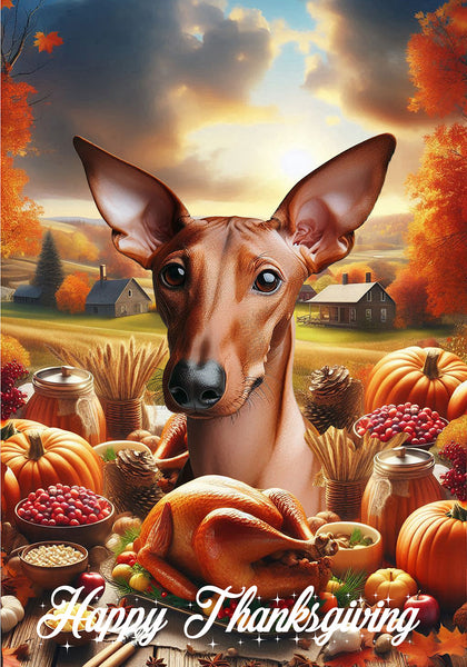 Pharoah Hound -  Best of Breed  Thanksgiving Outdoor House and Garden Flag