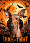 Pharoah Hound -  Best of Breed  Halloween Outdoor House and Garden Flag