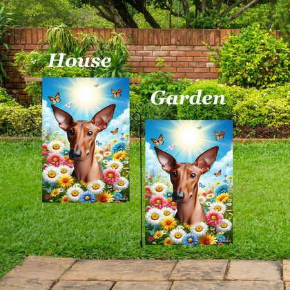 Pharoah Hound -  Best of Breed  Summer Butterflies Outdoor House and Garden Flag