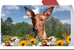 Pharoah Hound -  Best of Breed Summer Flowers Mailbox Cover Hi-Grade Vinyl 6" x 19"