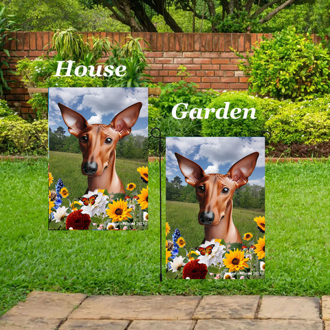 Pharoah Hound -  Best of Breed  Summer Fields Outdoor House and Garden Flag