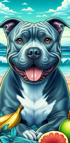 Pit Bull Blue - Best of Breed DCR 100% Poly Velour Micro Fiber Beach Towel Quick Dry 30" x 60"