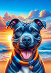 Pit Blue Blue - Best of Breed DCR Summer Sunset Outdoor House and Garden Flag