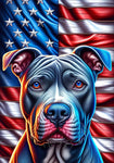 Pit Blue Blue - Best of Breed DCR Patriotic III   Outdoor House and Garden Flag