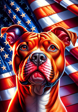 Pit Bull Red - Best of Breed DCR Patriotic III   Outdoor House and Garden Flag