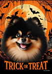 Pomeranian Black/Tan -  Best of Breed  Halloween Outdoor House and Garden Flag