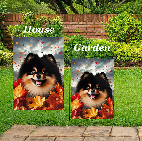 Pomeranian Black/Tan -  Best of Breed  Fall Leaves Outdoor House and Garden Flag