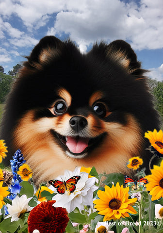 Pomeranian Black/Tan -  Best of Breed  Summer Fields Outdoor House and Garden Flag