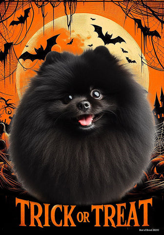 Pomeranian Black - Best of Breed  Halloween Outdoor House and Garden Flag