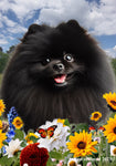 Pomeranian Black - Best of Breed  Summer Fields Outdoor House and Garden Flag