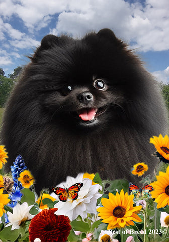 Pomeranian Black - Best of Breed  Summer Fields Outdoor House and Garden Flag