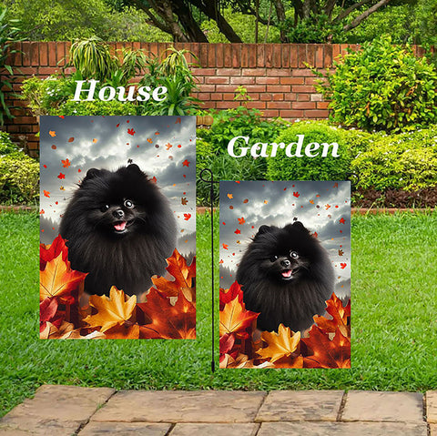 Pomeranian Black - Best of Breed  Fall Leaves Outdoor House and Garden Flag