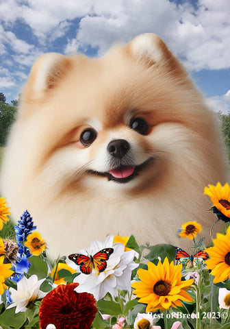 Pomeranian Cream - Best of Breed  Summer Fields Outdoor House and Garden Flag