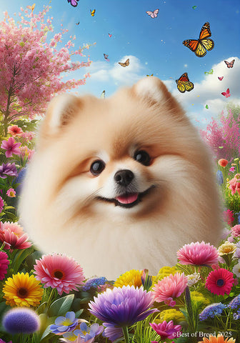 Pomeranian Cream - Best of Breed  Spring Butterflies Outdoor House and Garden Flag