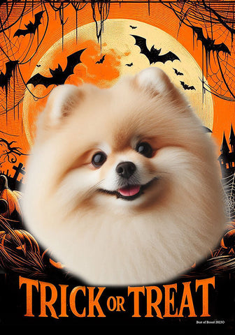 Pomeranian Cream - Best of Breed  Halloween Outdoor House and Garden Flag