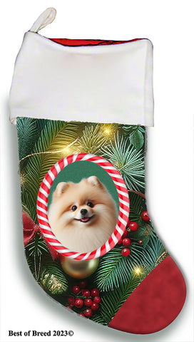 Pomeranian Cream - Best of Breed  Christmas Stocking 13.5"  Red Gaming Cloth with Red Lining ,Plush White Cuff
