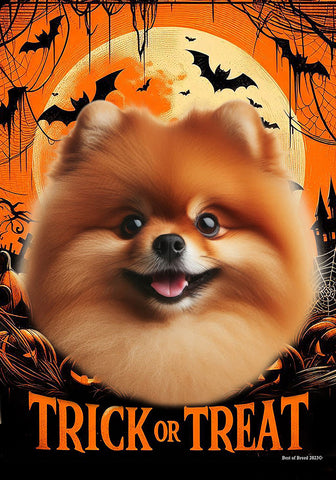 Pomeranian Orange - Best of Breed  Halloween Outdoor House and Garden Flag