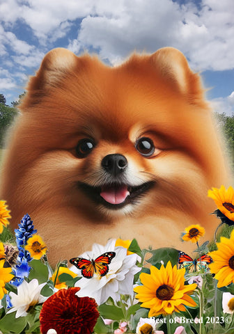 Pomeranian Orange - Best of Breed  Summer Fields Outdoor House and Garden Flag