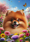 Pomeranian Orange - Best of Breed  Spring Butterflies Outdoor House and Garden Flag