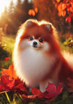 Pomeranian - Best of Breed DCR Falling Leaves Outdoor Flag