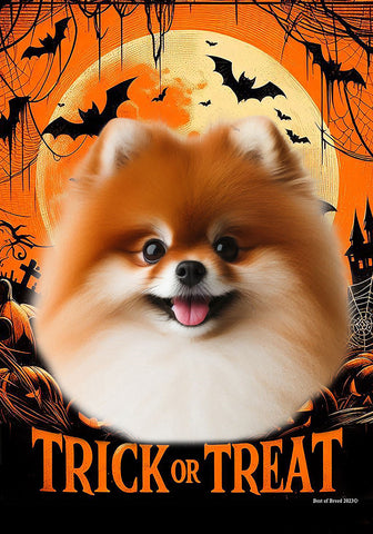 Pomeranian Red - Best of Breed  Halloween Outdoor House and Garden Flag