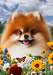 Pomeranian Red - Best of Breed  Summer Fields Outdoor House and Garden Flag