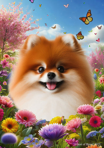 Pomeranian Red - Best of Breed  Spring Butterflies Outdoor House and Garden Flag