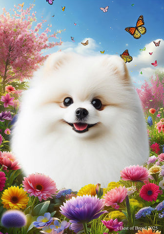 Pomeranian White - Best of Breed  Spring Butterflies Outdoor House and Garden Flag