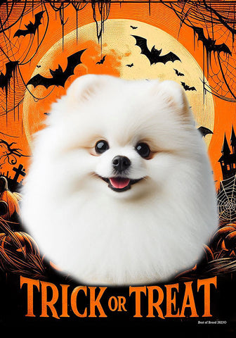 Pomeranian White - Best of Breed  Halloween Outdoor House and Garden Flag