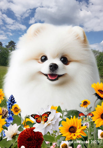 Pomeranian White - Best of Breed  Summer Fields Outdoor House and Garden Flag