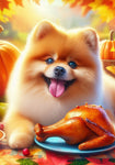 Pomeranian - Best of Breed DCR Thanksgiving Outdoor House and Garden Flag