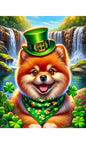 Pomeranian - Best of Breed DCR Saint Patricks Day Day Outdoor House and Garden Flag