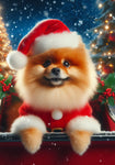 Pomeranian - Best of Breed DCR Christmas Outdoor House and Garden Flag