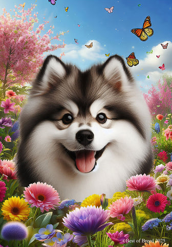 Pomsky -  Best of Breed  Spring Butterflies Outdoor House and Garden Flag