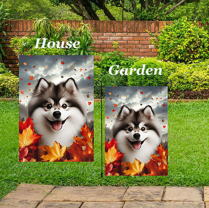 Pomsky -  Best of Breed  Fall Leaves Outdoor House and Garden Flag