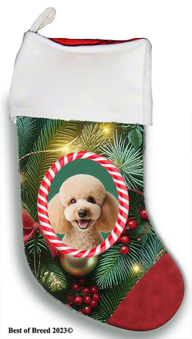 Poodle Apricot - Best of Breed  Christmas Stocking 13.5"  Red Gaming Cloth with Red Lining ,Plush White Cuff