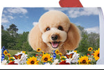 Poodle Apricot - Best of Breed Summer Flowers Mailbox Cover Hi-Grade Vinyl 6" x 19"