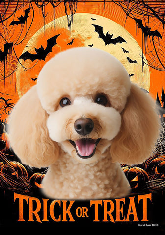 Poodle Apricot - Best of Breed  Halloween Outdoor House and Garden Flag